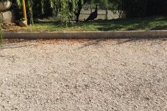 photo8jpg