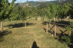 photo9jpg