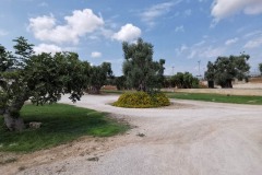 frantoio-ipogeo-12