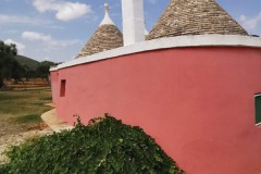 frantoio-ipogeo-13