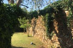 IMG-20201106-WA0028