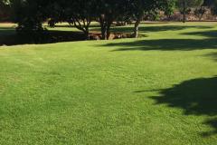 IMG-20201106-WA0032