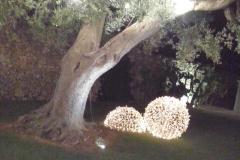 IMG-20201106-WA0036