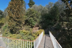 IMG_20210309_105422