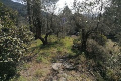 IMG_20210309_105520