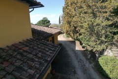IMG_20210309_105815