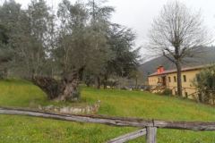 facciata-1